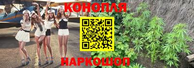 PSILOCYBIN Бийск
