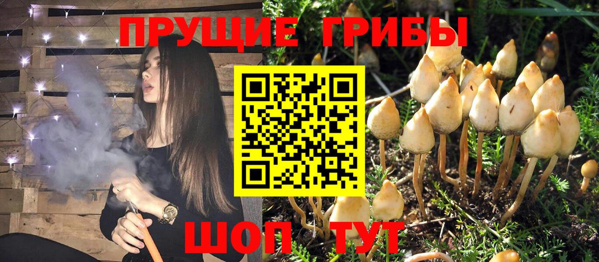 Галлюциногенные грибы прущие грибы Киселёвск