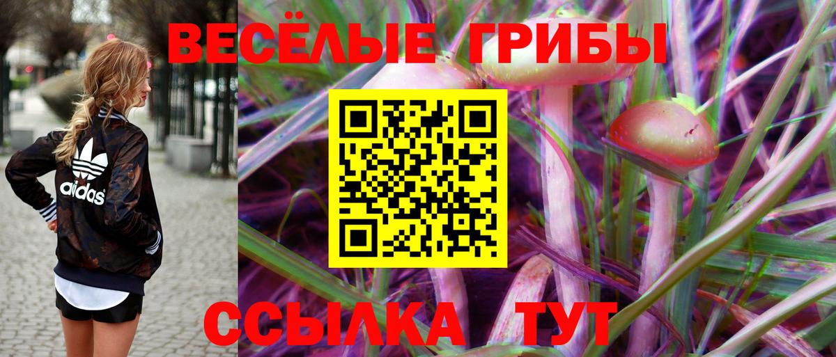 где продают наркотики  Псилоцибиновые грибы Psilocybine cubensis  Вход с VPN  Киселёвск 